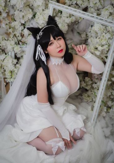 搞姬日常
